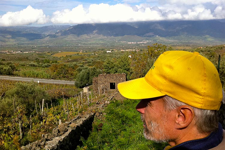 Crazy Good Wines on Mount Etna Crazy Good Wines on Mount Etna