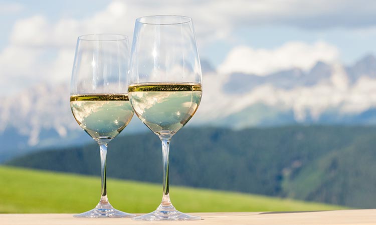 pinot bianco