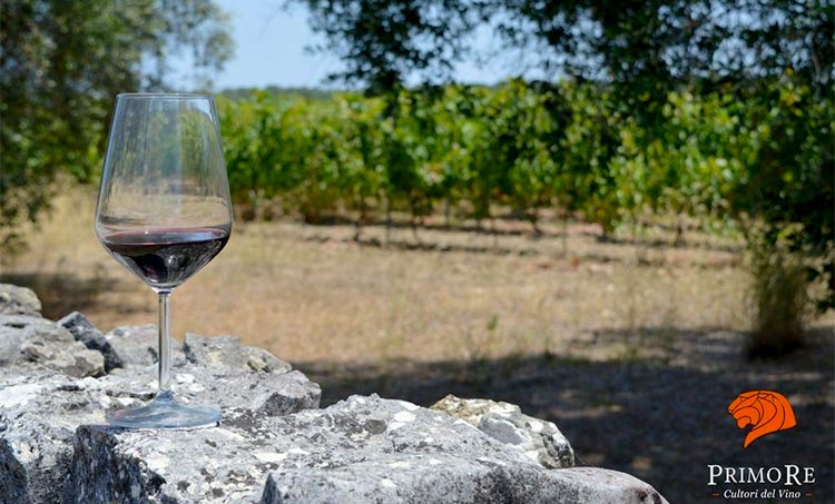 New Wines in Old Country New Wines in Old Country