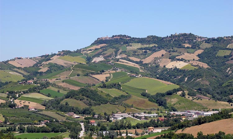 Positively Piceno! ripa-griffoni